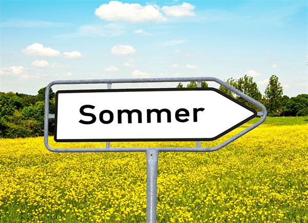 Sommerfest 2025