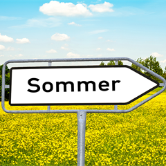 Sommerfest 2025